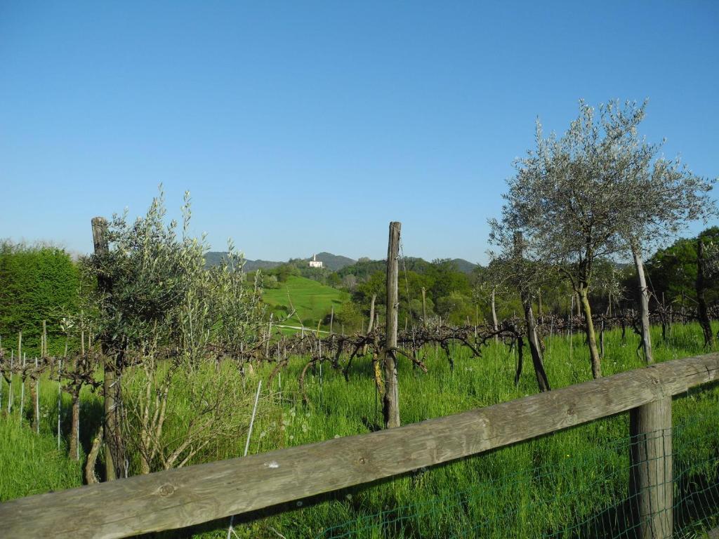 Castelcucco Agriturismo Cornolereヴィラ エクステリア 写真