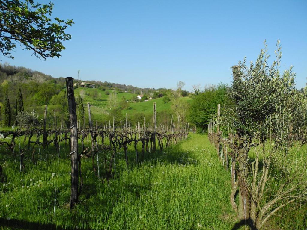 Castelcucco Agriturismo Cornolereヴィラ エクステリア 写真